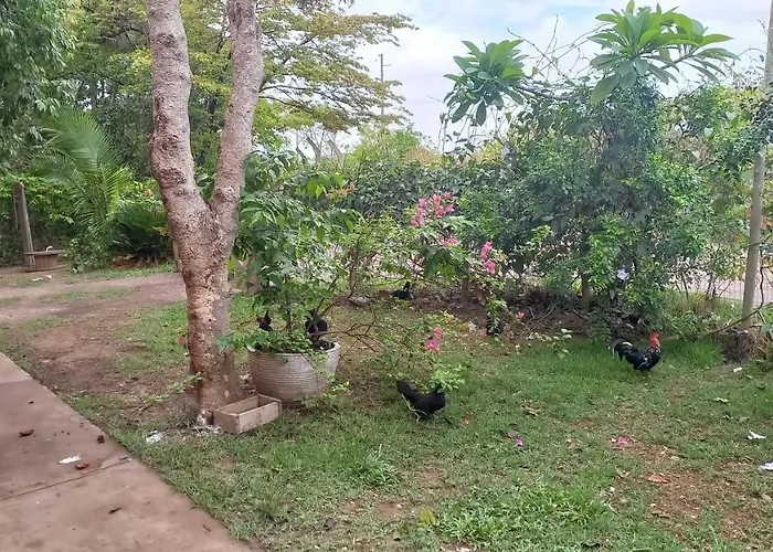 Chacara Pousada Sagui